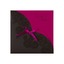 arabesques chocolat et fuschia